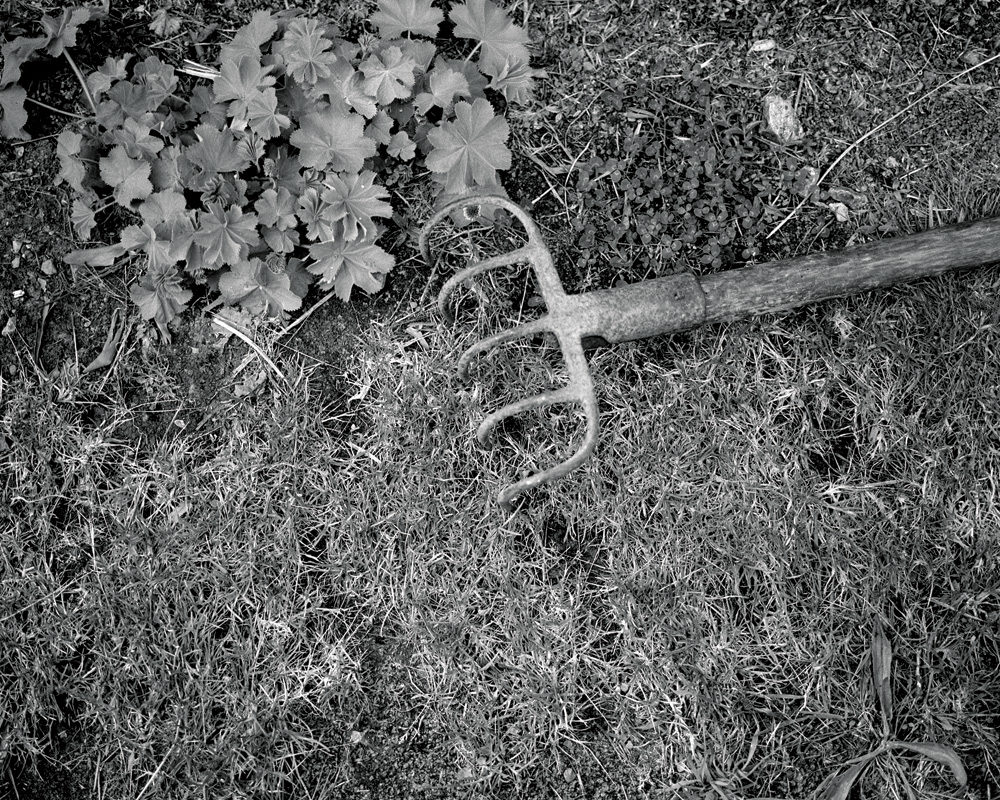 Y14－NB-MF6-7-0609-07-08—TriX-400-200-M7II-80-mm077