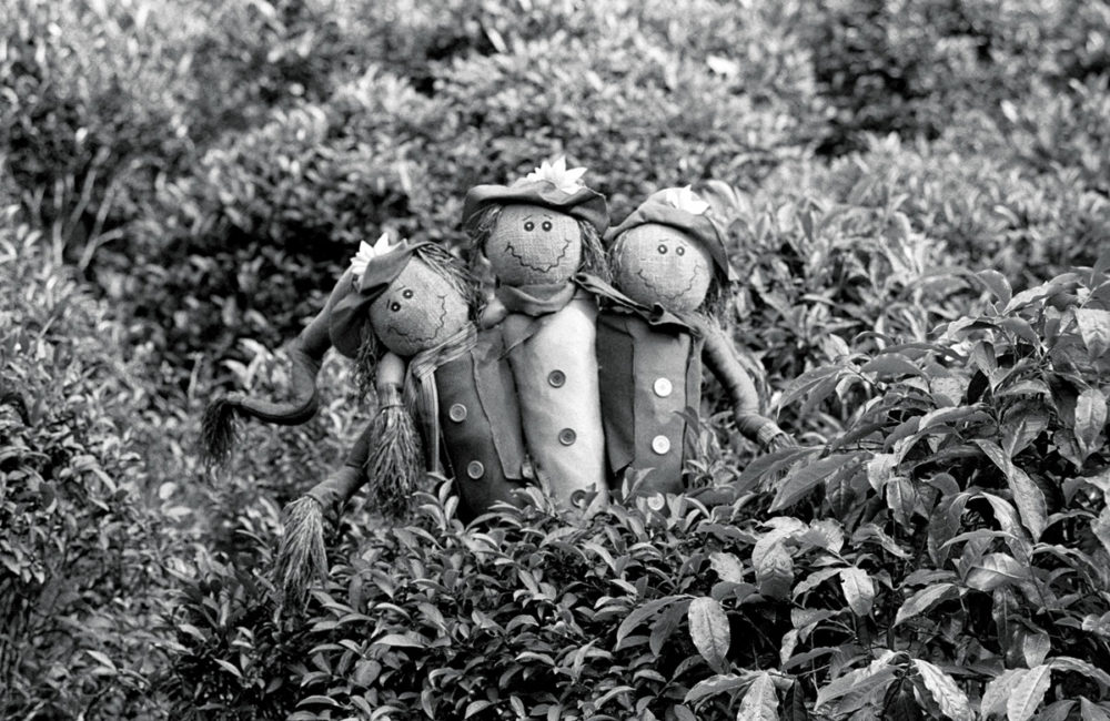 Y21－NB-0407-02-30—HP5+-400-200-G2-90mm