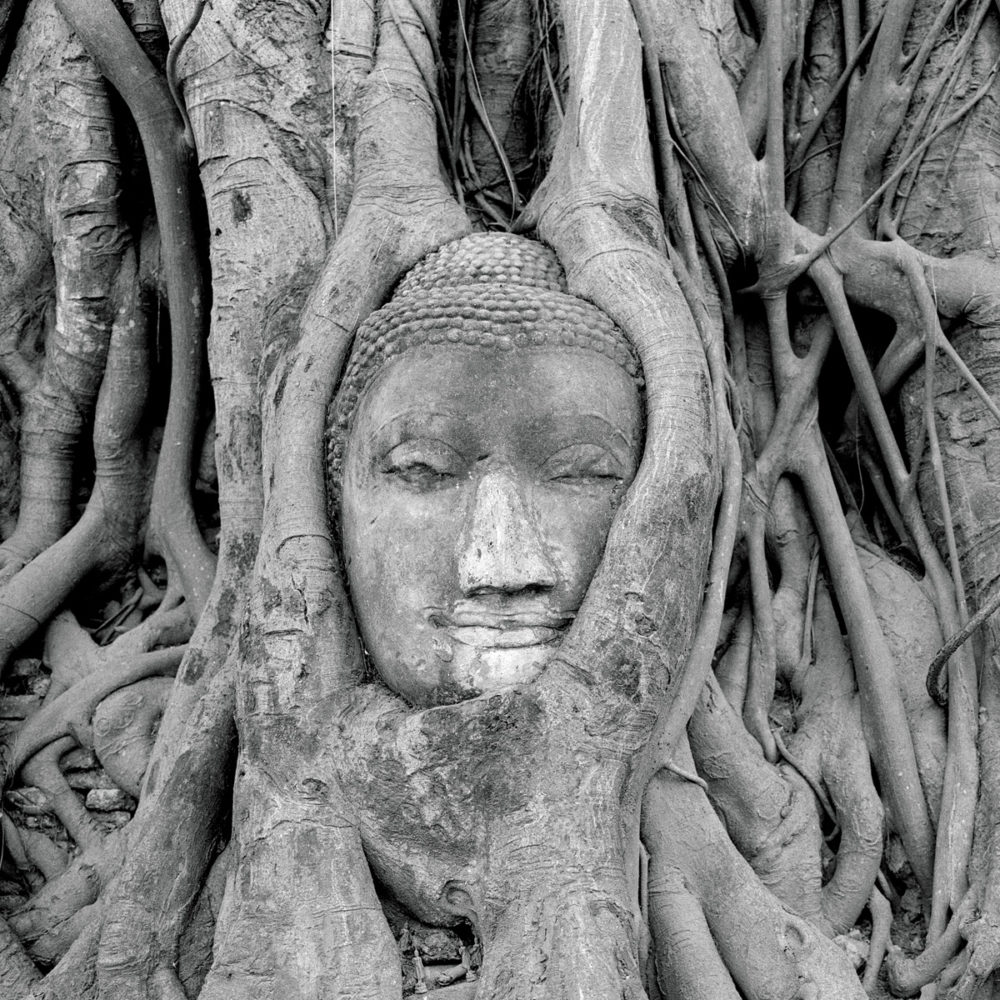 Y22－NB-MF6-7-0208-01-04—TriX-400-200-M7II-80mm081