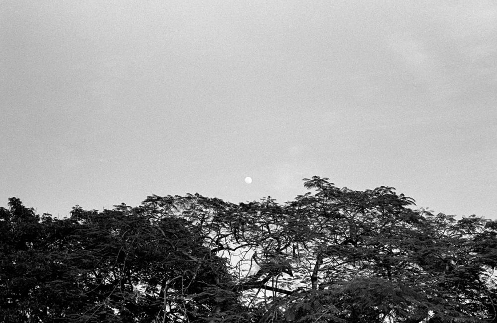 Y26－NB-1209-06–30—TriX-400-200-M6-50mmElm